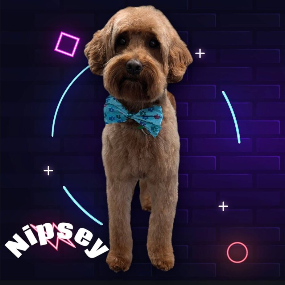 1912BE81-D681-4BF9-A24F-2821E68AE310