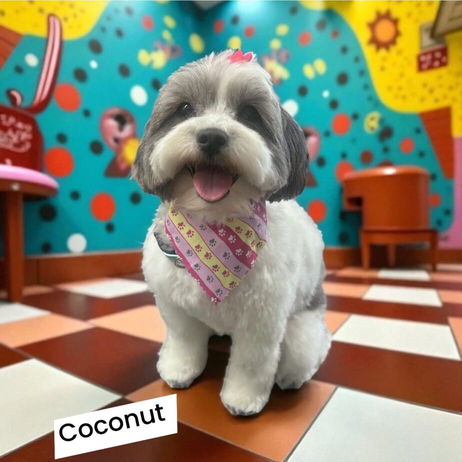 329C5368-9EBE-47EE-8E2F-9EEF2CD4FA77