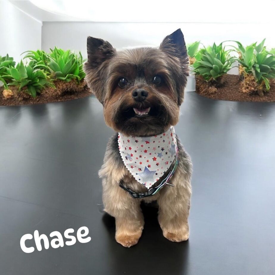 4A4BF76A-ECCC-43E6-8BA7-C92DDFFC7E11