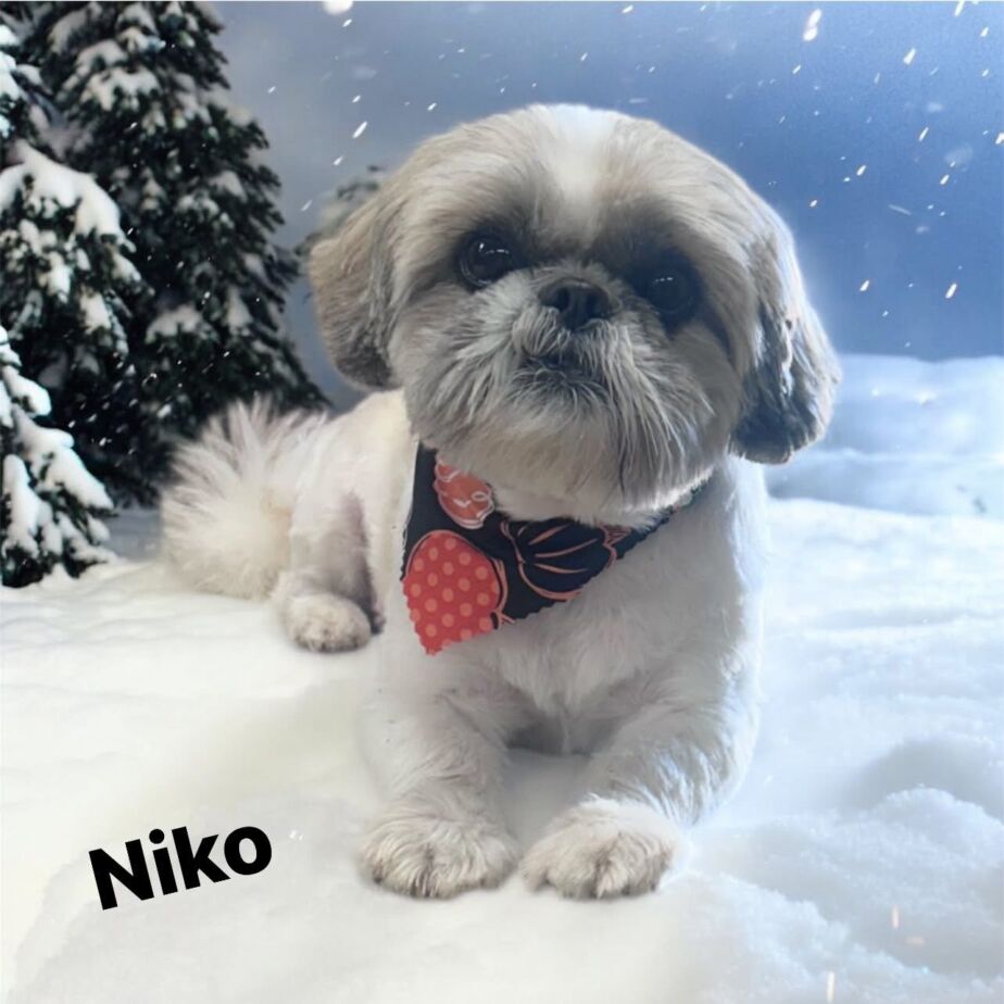 790B83E7-38D8-400A-98C7-336616884608