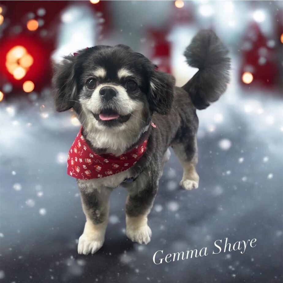 84C2CCE2-179E-45AF-B4B0-84D3C09F696C