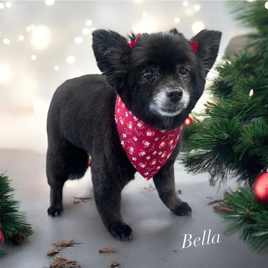 D5BE6BB9-41F5-4DB3-BB41-3185ADD14492