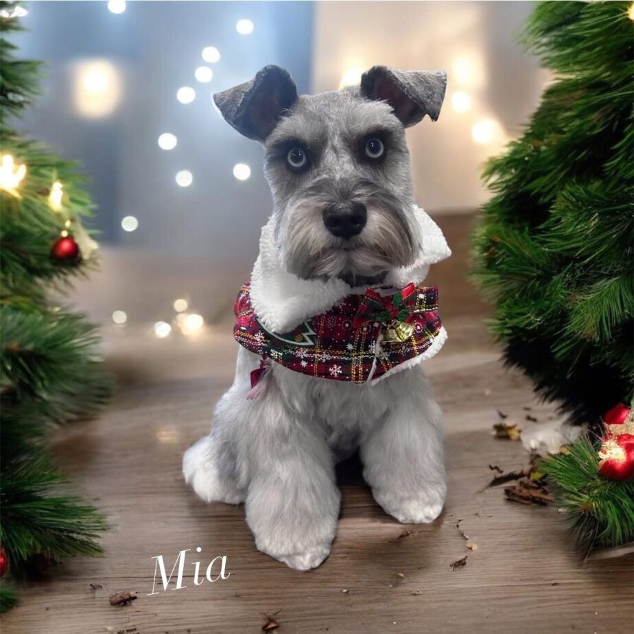 E6E180BF-6661-4910-9081-1FE9B0B97FA7